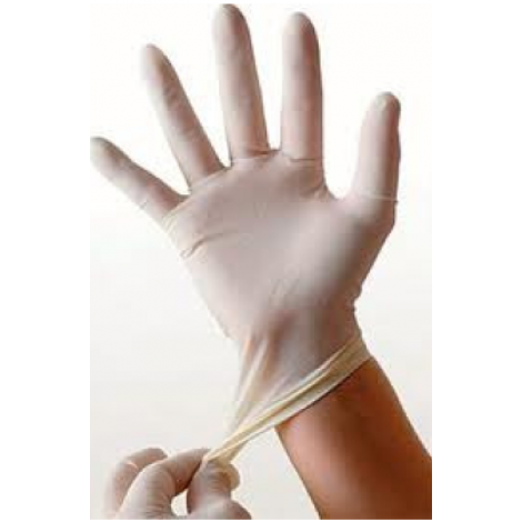 Latex glove #Latex 9 Inch Powdered and Powder Free Glove (245mm) 